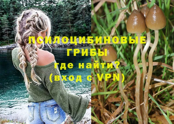 гидропоника Бронницы