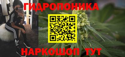 2c-b Янаул