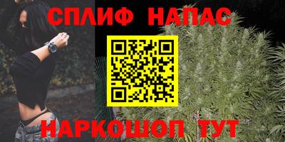 МДПВ Ярославль