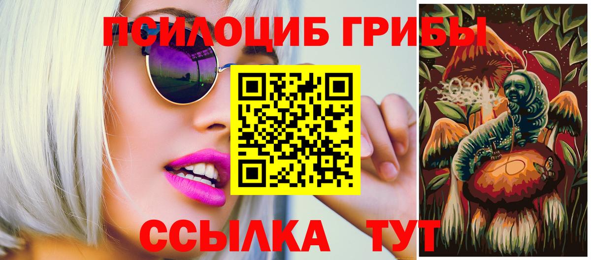 Галлюциногенные грибы прущие грибы Гулькевичи
